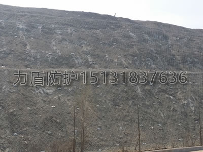 辽宁省高速公路-SPIDER高强度螺旋网边坡防护