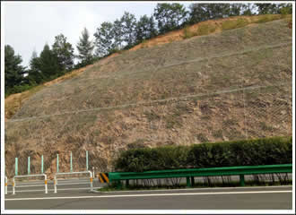 高速公路主动边坡防护工程